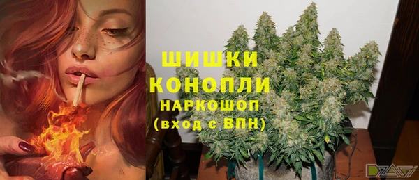 молекула духа Рославль