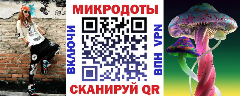 как найти   Новое Девяткино  Псилоцибиновые грибы Psilocybe 